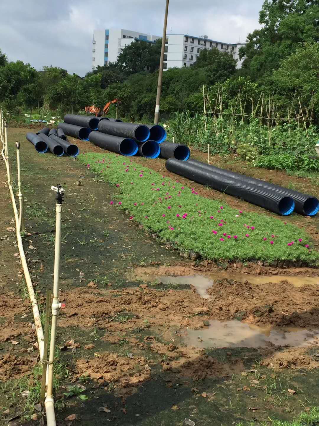 长沙锐信管业有限公司,长沙排污排水管道,塑料管材生产,双壁波纹管销售